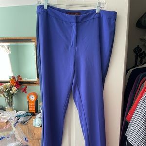 Blue trouser pants